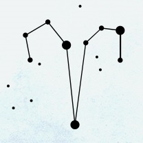 逢坂杏の12星座占い