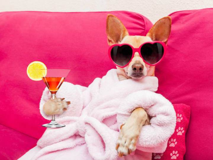 本当に二日酔いに効く5つの対処法と、やってはいけない4つのこと