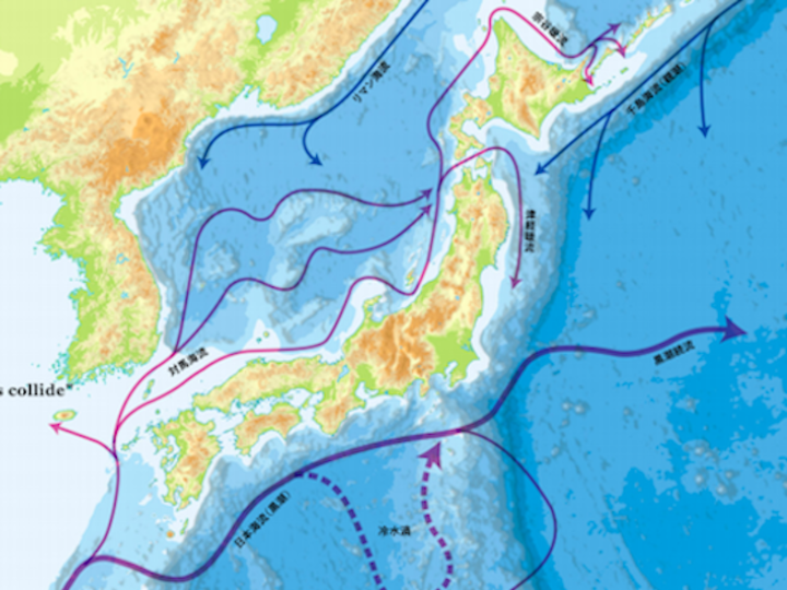 日本人の カワイイもの好き は地形のせい 日本を語る新たな視点 Mashing Up