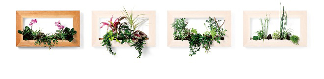130330_green_pianta_stanza01.jpg