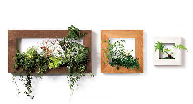 130330_green_pianta_stanza02.jpg