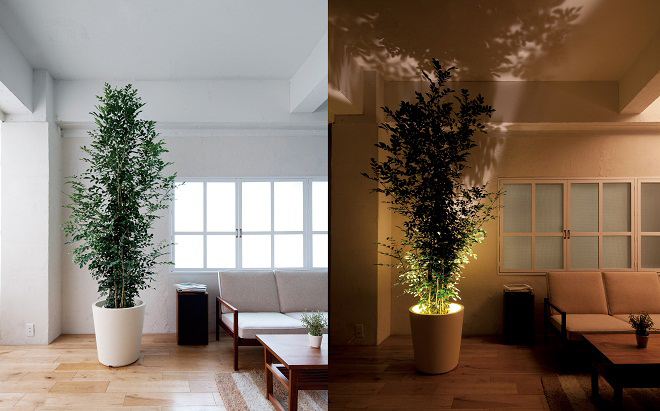 130330_green_pianta_stanza03.jpg