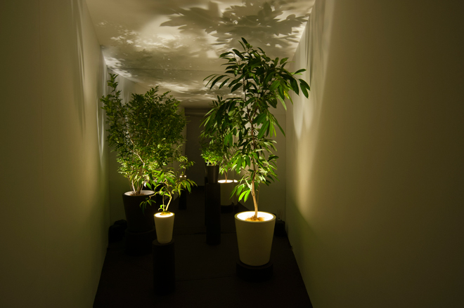 130330_green_pianta_stanza04.JPG