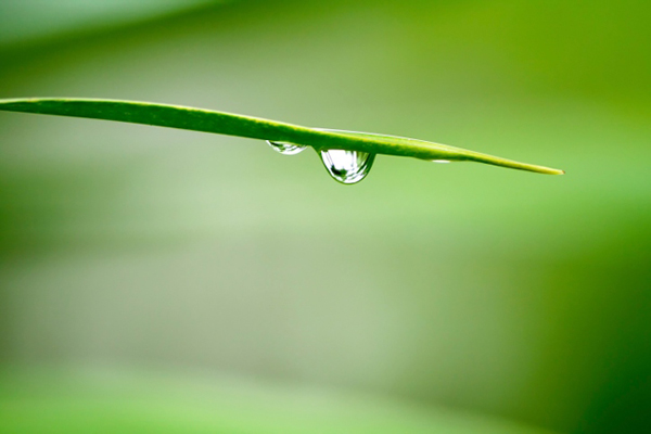 130318_tears.jpg