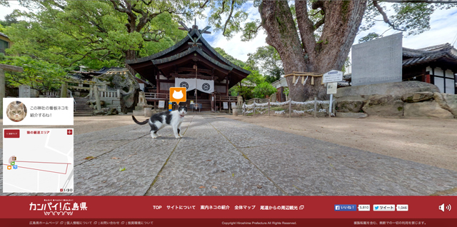150903neko-streetview003.jpg