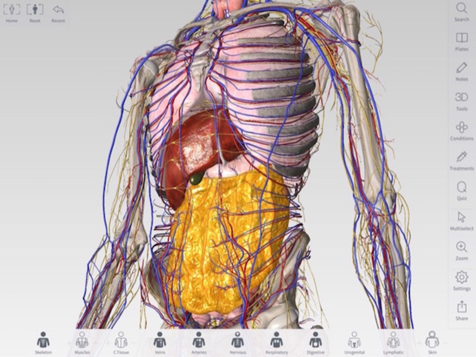 complete anatomy 3d4medical mac torrent complete anatomy 3d4medical mac torrent