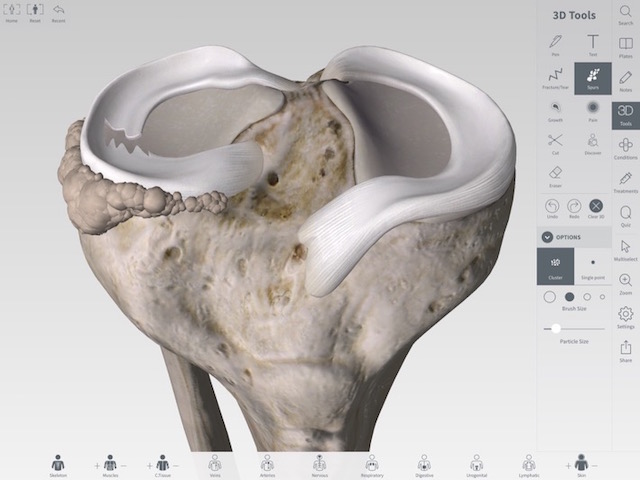 150910ipadProAnatomy3.jpg