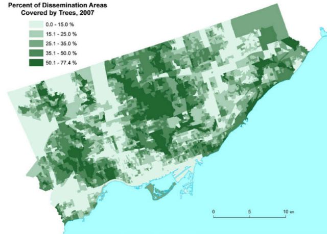 150917_trees2_.jpg