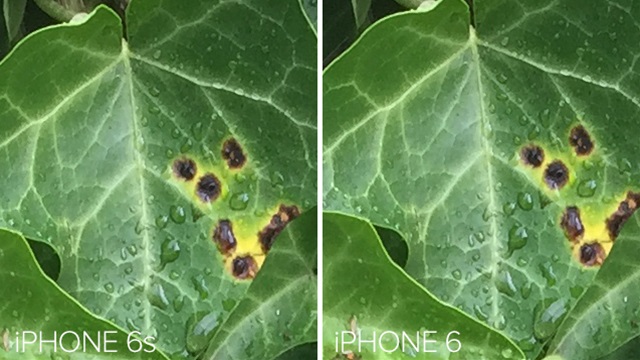 151002iphone6s_camera_no_longer_the_king_a_comparison.jpg
