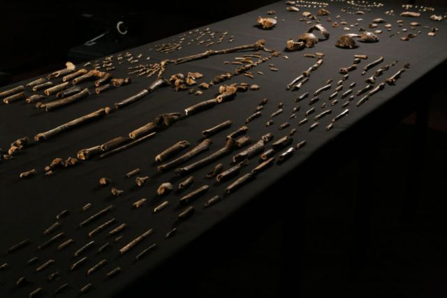 151008_homonaledi2.jpg