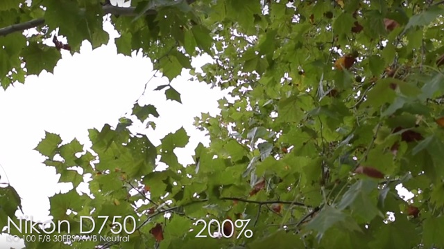 151009n6s4k13.jpg