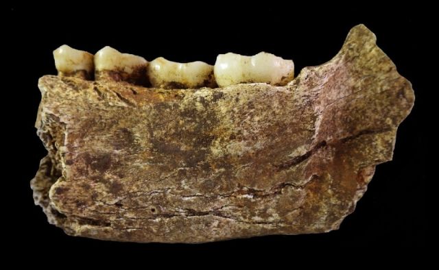 151027_homonaledi2.jpg