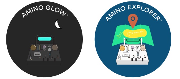 151030_amino3.jpg