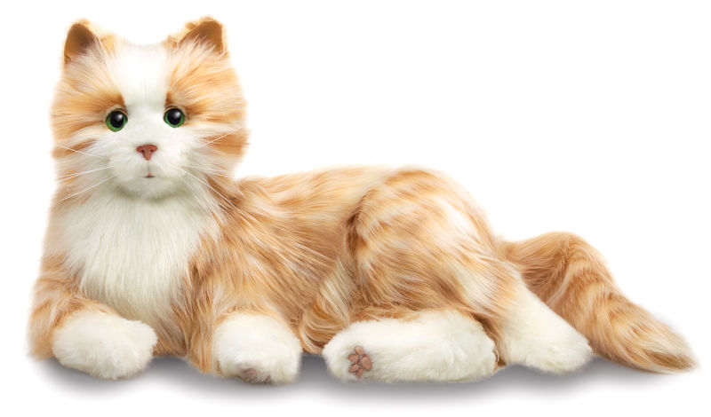 151125hasbrocatcolor3.jpg