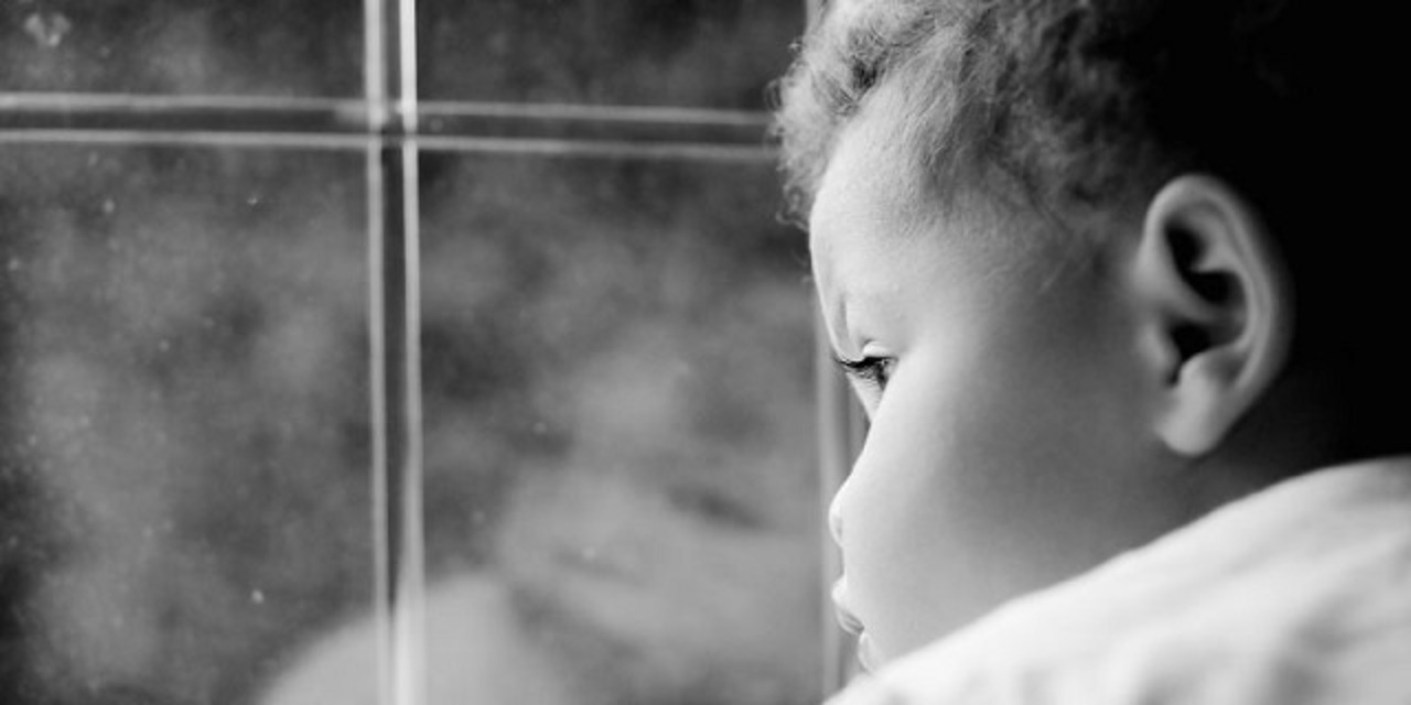 ゲノム編集じゃ天才は作れない 専門家がcrisprの限界を解説 ギズモード ジャパン