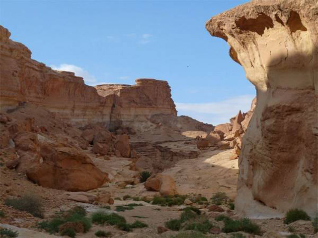 20151216starwarsintunisia04.jpg