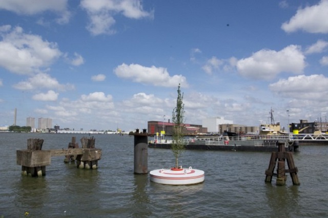 160111rotterdam2.jpg