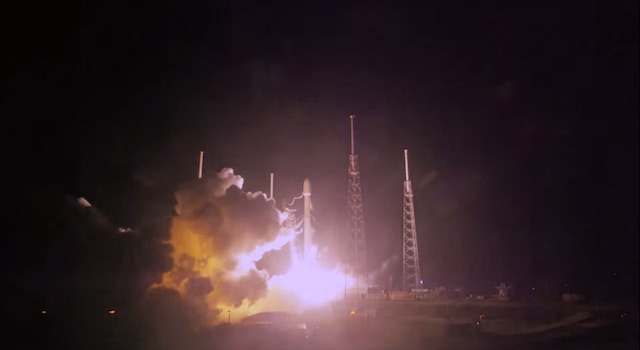 20160115falcon905.jpg