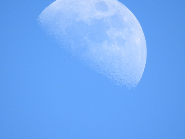 160116_nikon_moon01.jpg
