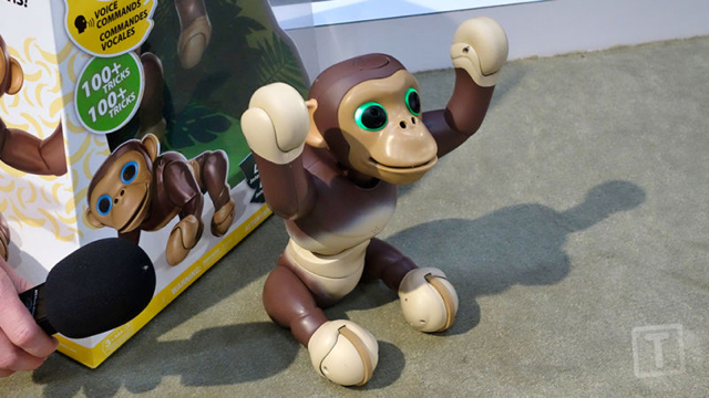 160217zoomerchimp1.jpg