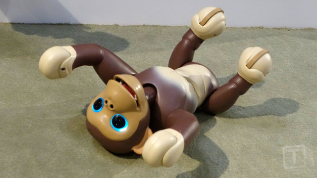 160217zoomerchimp2.jpg