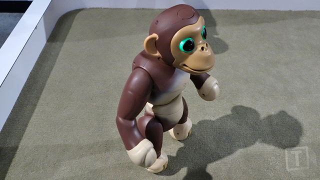 160217zoomerchimp3.jpg