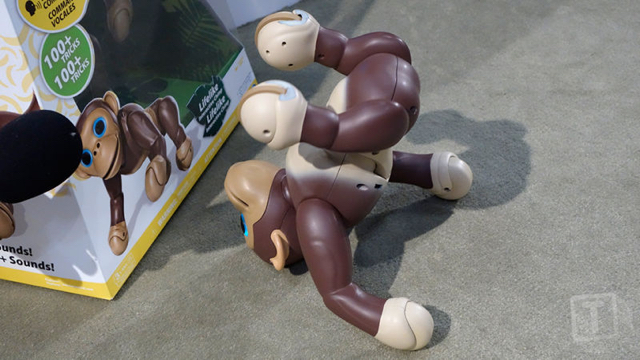 160217zoomerchimp4.jpg