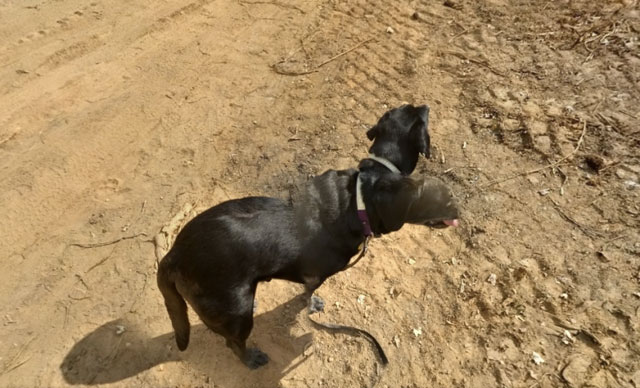 160217zoomintogooglemaps04.jpg