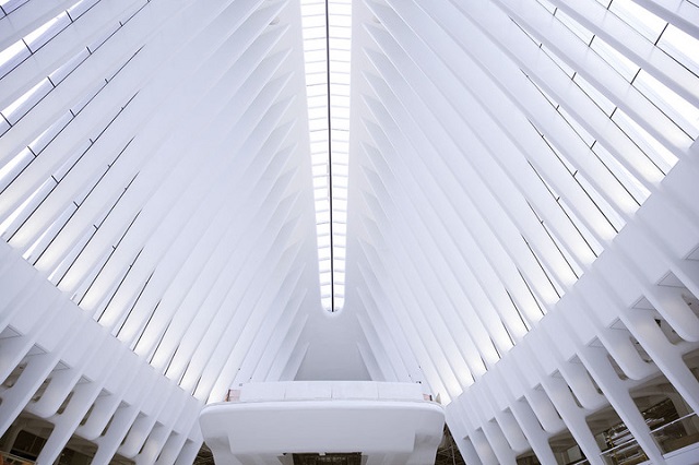 160303NY3602.jpg