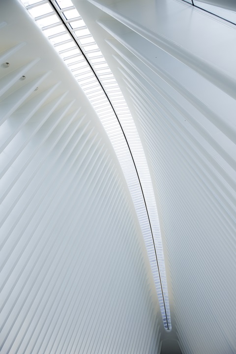 160303NY3606.jpg
