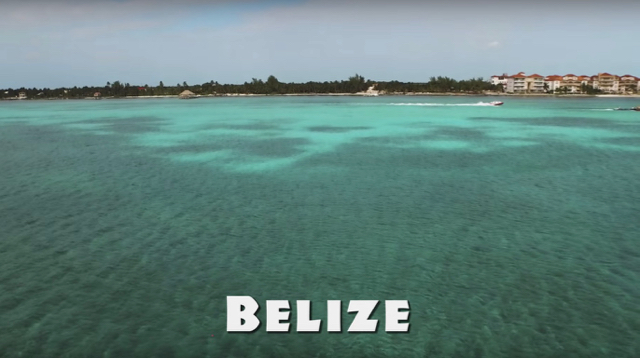 160309belizemaddogs.jpg