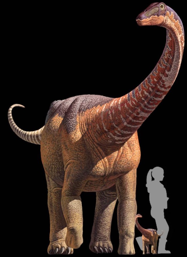 150425dinogrow2.jpg