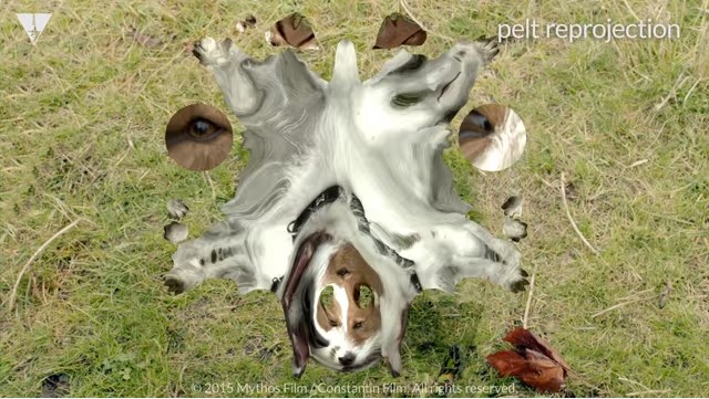 VFX CG 犬