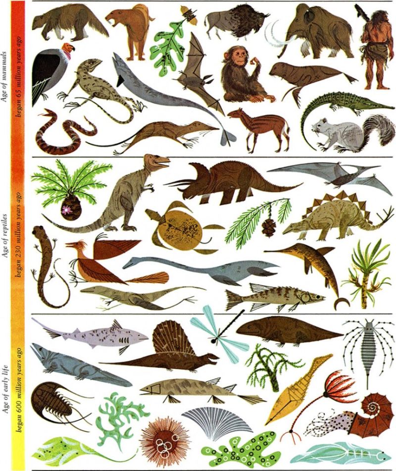 160421TheGiantGoldenBookofBiology.jpg
