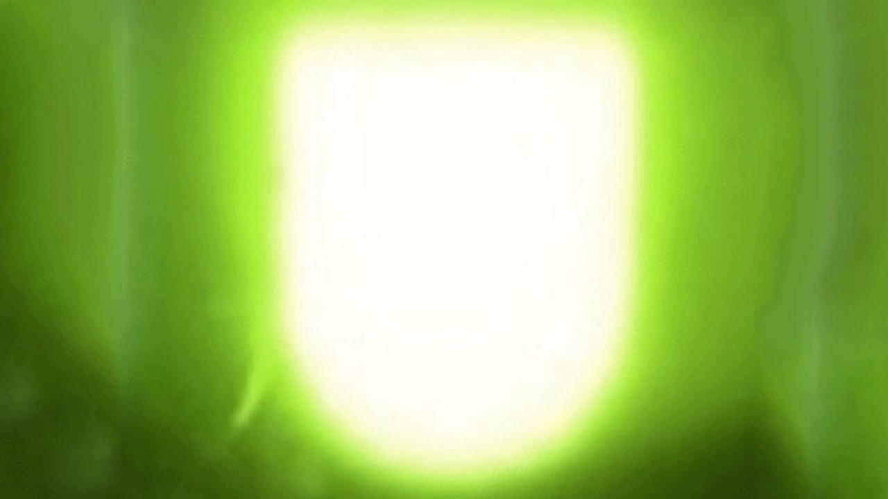 もう何なの自然界 賢すぎ ホタルの構造を真似たledライトが60 明るくなる ギズモード ジャパン