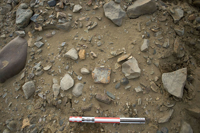 160509fossils02.jpg