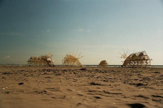 160530strandbeest3.jpg