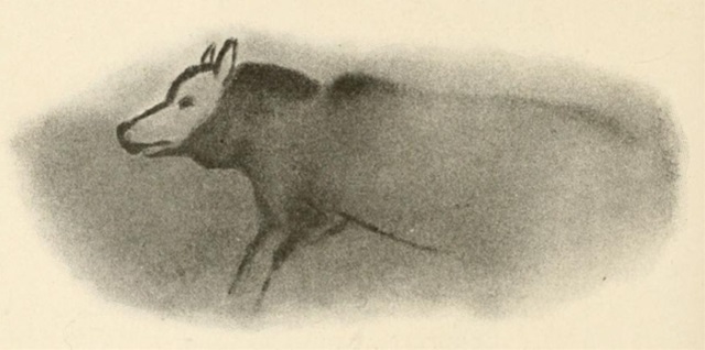 160601dog_origin_a.jpg