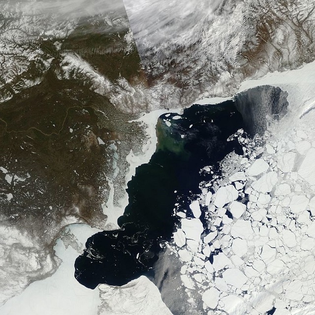 1606068_arctic_3.jpg