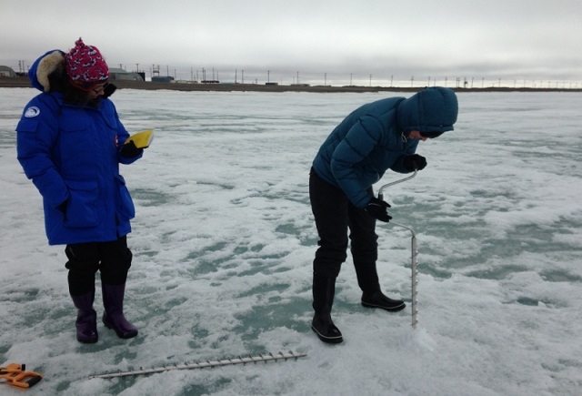 1606068_arctic_4.jpg