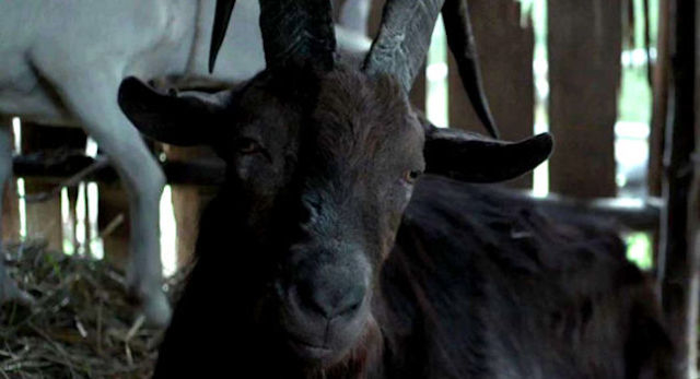 160607_horror_thewitch.jpg