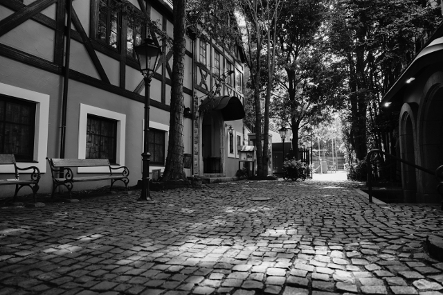 160608otonano_grayscale4.jpg
