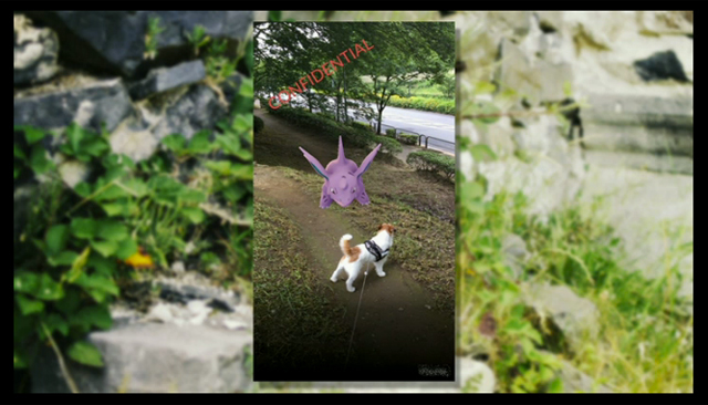 160616ktpokemongodev02.jpg