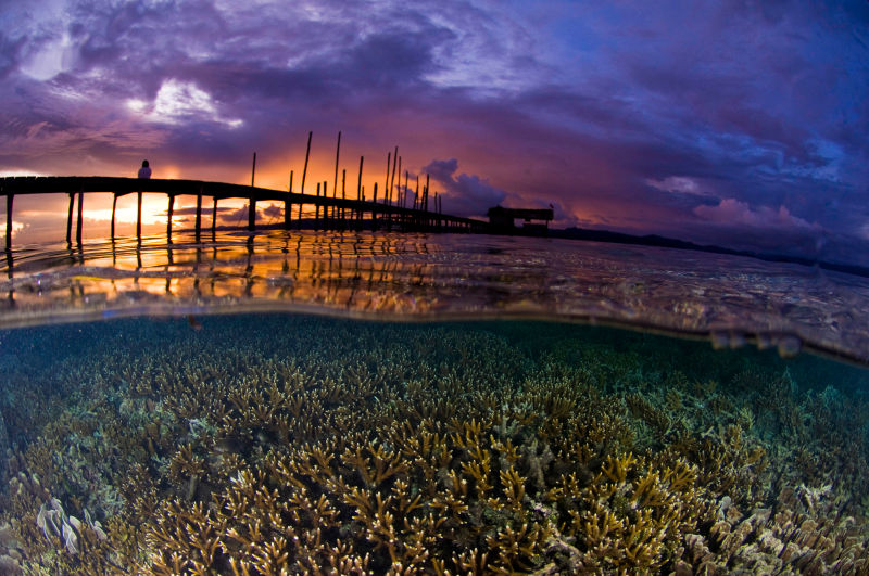 160627CoralReefs3.jpg