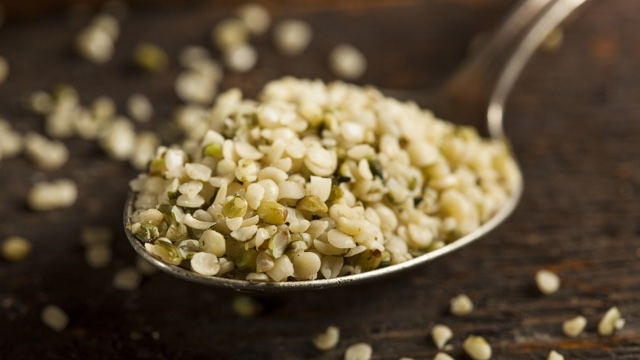 160620_hempoil_0022-thumb-640x366-97110.jpg