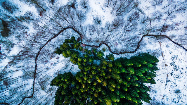 160713dronephotographycontest01.jpg