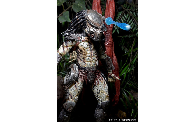170726predator1.jpg