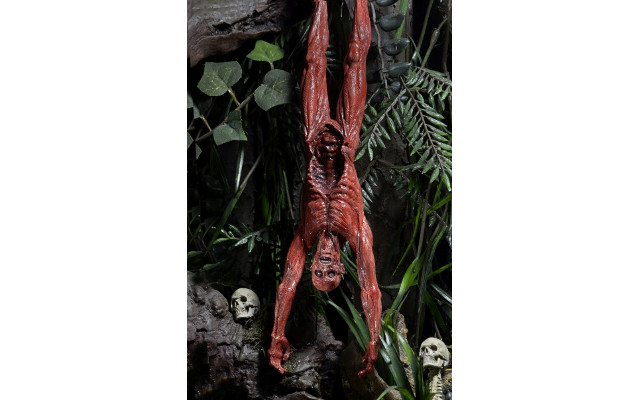 170726predator3.jpg