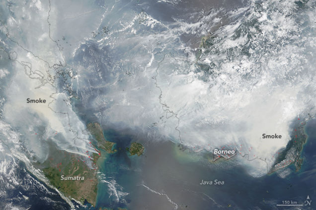 NASAが撮影したインドネシアの山火事の煙