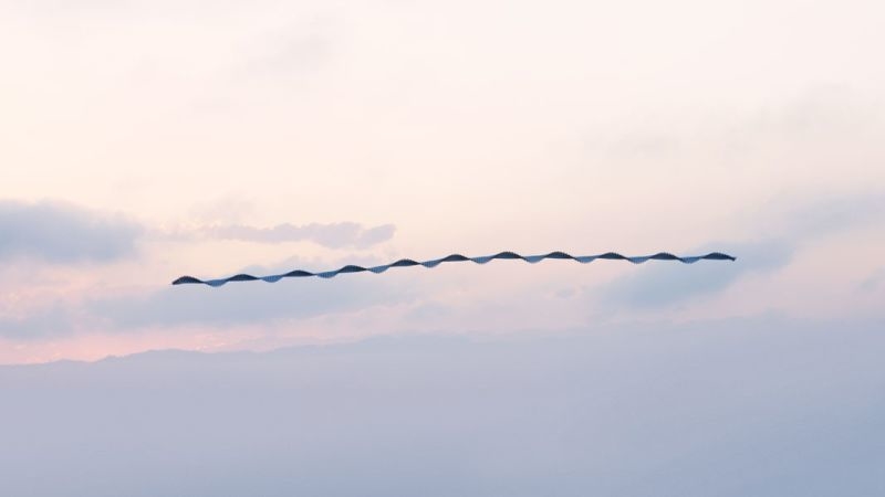 昔の技術で斬新に表現。空飛ぶ鳥の軌跡を写した写真3